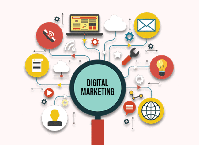 Bear Fox Marketing